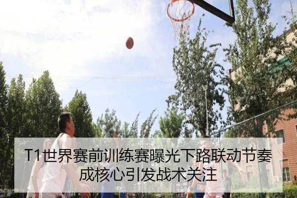 T1世界赛前训练赛曝光下路联动节奏成核心引发战术关注 | www.jiuyou.conapp
